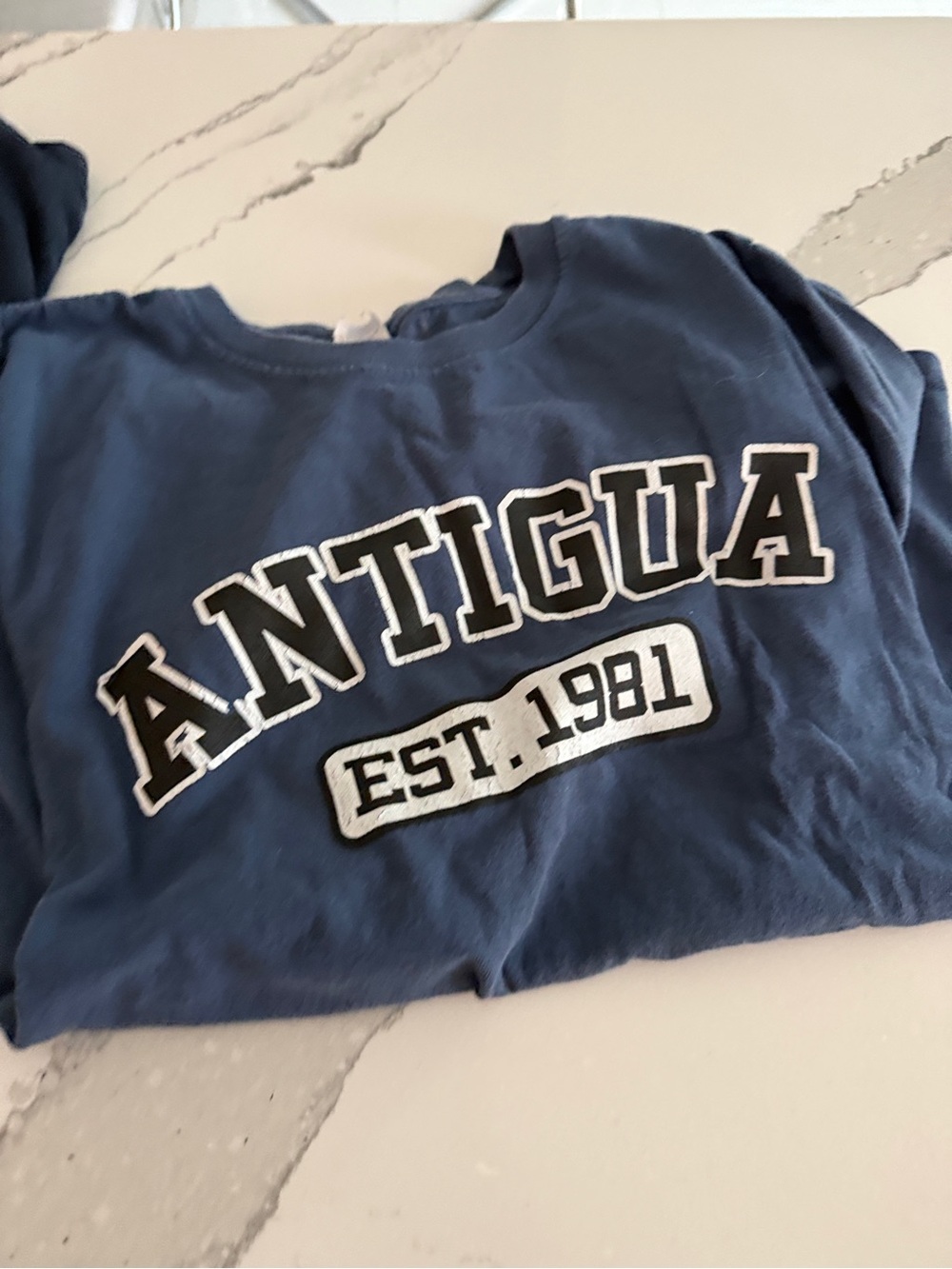 Antigua Navy Blue ANTIGUA EST. 1981' Graphic Tee